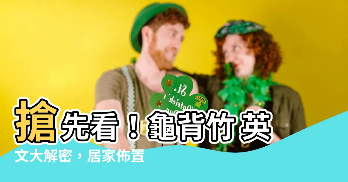 【龜背竹 英文】搶先看！龜背竹 英文大解密，居家佈置綠意盎然