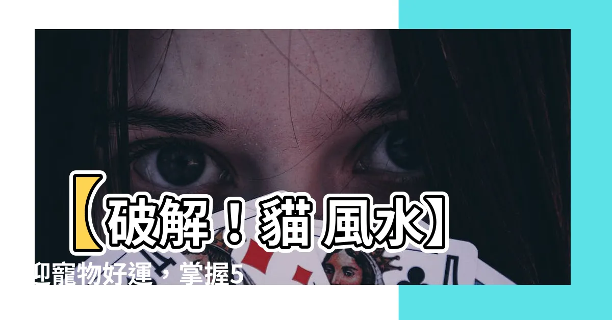 【貓 風水】【破解！貓 風水】迎寵物好運，掌握5大禁忌