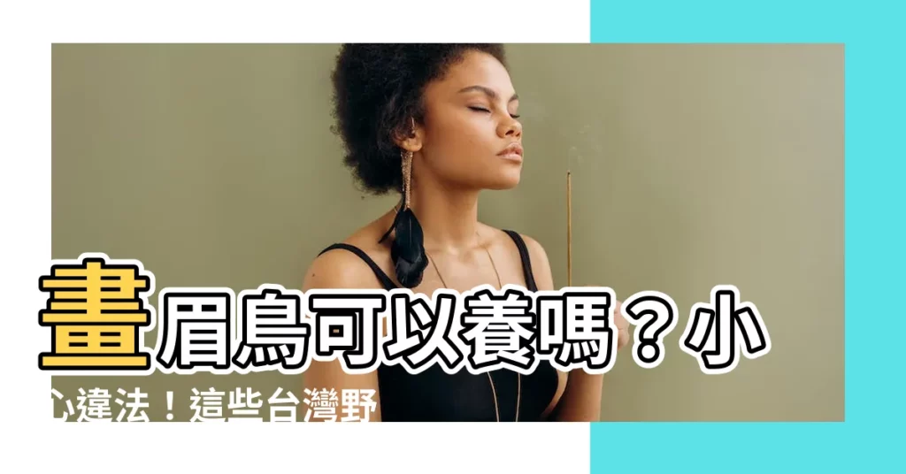 【畫眉鳥可以養嗎】畫眉鳥可以養嗎？小心違法！這些台灣野鳥不能養！