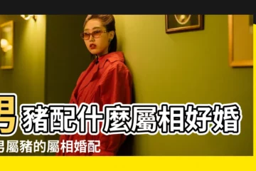 【豬年生人婚姻屬配】男豬配什麼屬相好婚姻男屬豬的屬相婚配表 |屬豬和什麼屬相婚配好生肖豬的屬相婚配表 |屬豬的屬相婚配表大全 |