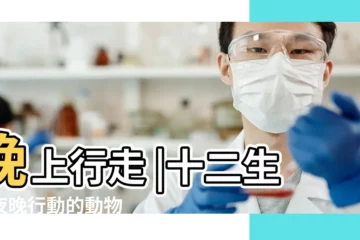 【12生肖晚上出來的動物】晚上行走 |十二生肖夜晚行動的動物 |十二生肖中什麼動物白天睡覺 |