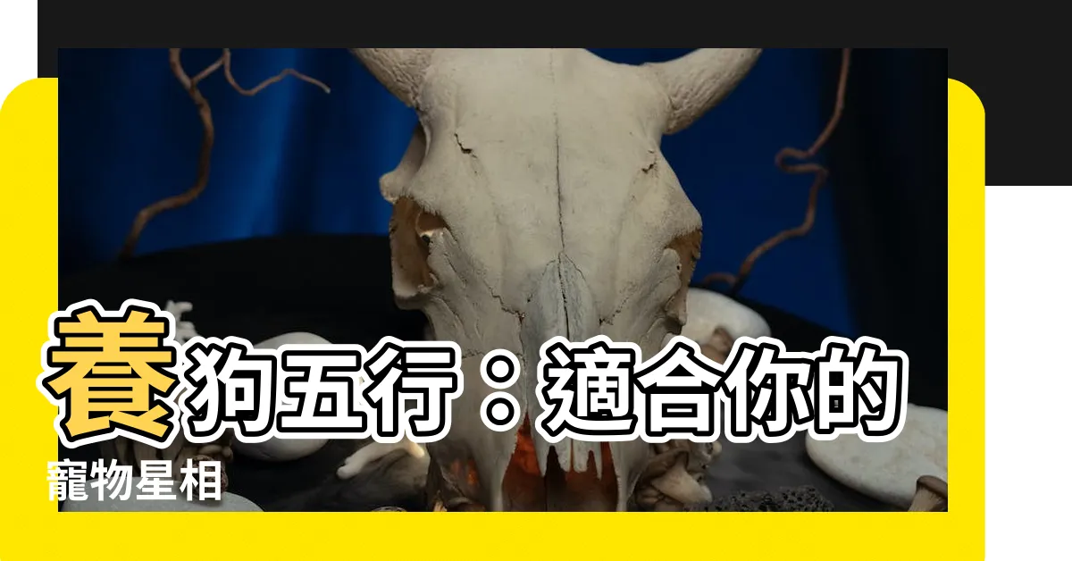 【養狗五行】養狗五行：適合你的寵物星相