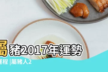 【2017豬出什麼問題了】屬豬2017年運勢及運程 |屬豬人2017年運勢 |2017年生肖豬要注意的情感問題 |