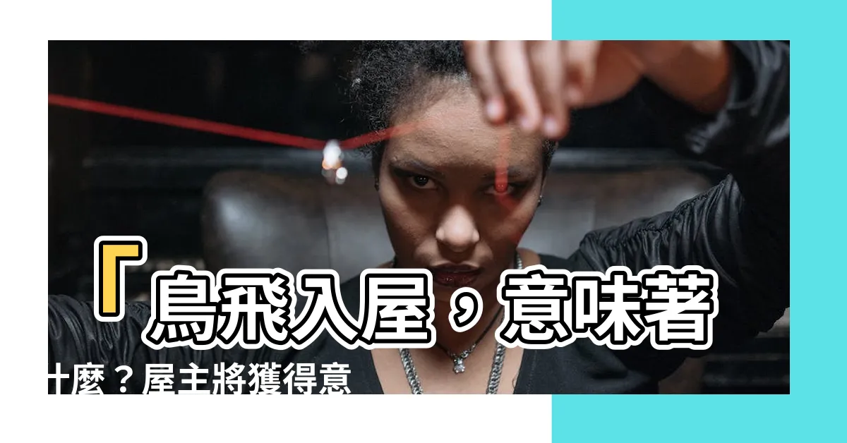 【鳥飛入屋】「鳥飛入屋，意味著什麼？屋主將獲得意外的好運！」