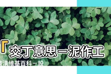 【交丁意思】「交丁意思－泥作工法裝潢維基百科－設計家Searchome」