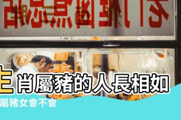 【生肖豬女生長相】生肖屬豬的人長相如何 |屬豬女會不會因長相和你發生關係 |原創長相最顯小的三個生肖女生 |