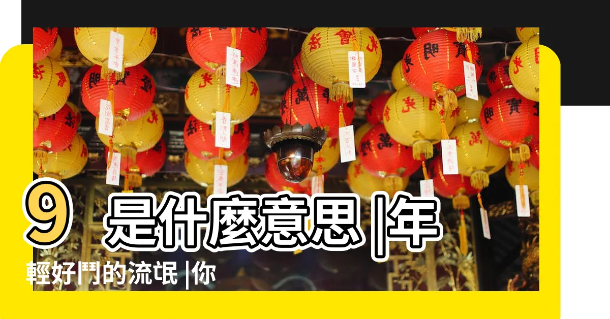 【何謂8 9】9是什麼意思 |年輕好鬥的流氓 |你們知道什麼是 |