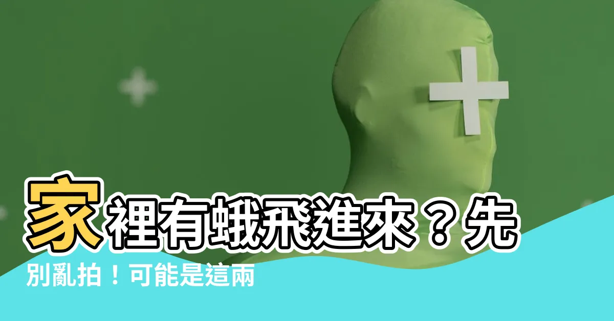 【家裡有蛾飛進來】家裡有蛾飛進來？先別亂拍！可能是這兩件事的徵兆