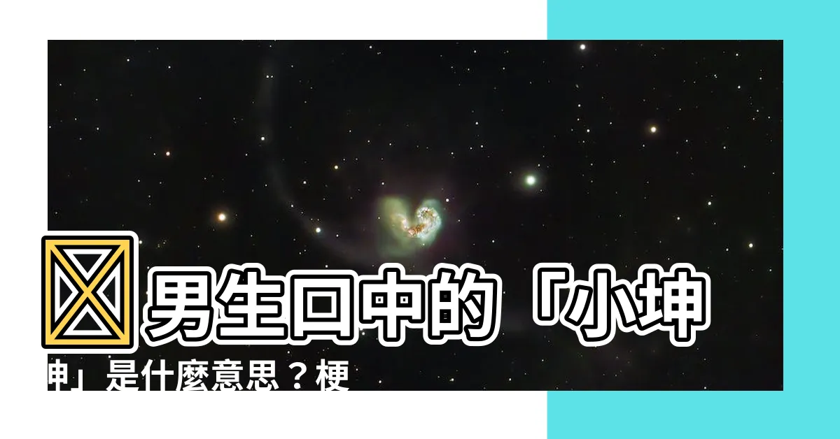 【小坤坤意思】🔥男生口中的「小坤坤」是什麼意思？梗圖、含義一次搞懂！🔥