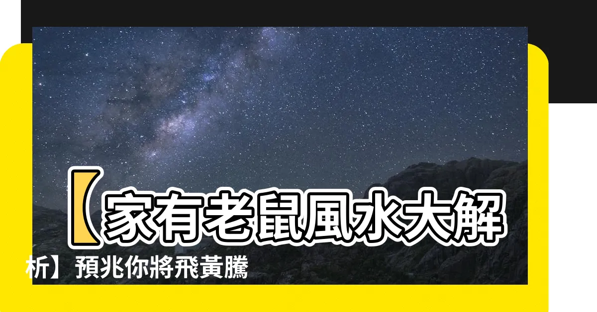 【家有老鼠風水】【家有老鼠風水大解析】預兆你將飛黃騰達？還是黴運纏身？