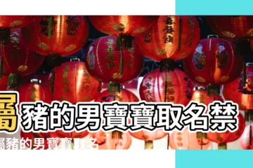 【屬豬男寶寶名字禁忌】屬豬的男寶寶取名禁忌屬豬的男寶寶取名有哪些禁忌 |生肖豬宜用及不宜用字 |屬豬寶寶取名禁忌與適宜 |