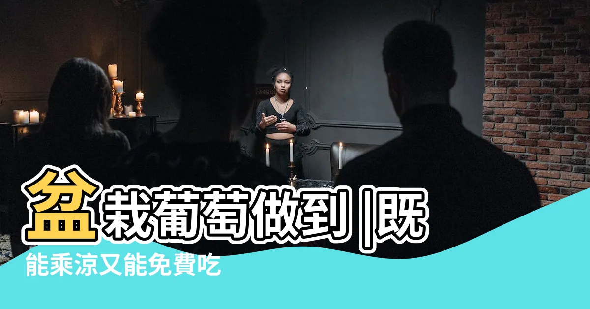 【葡萄種植盆栽】盆栽葡萄做到 |既能乘涼又能免費吃 |3年長滿葡萄架 |