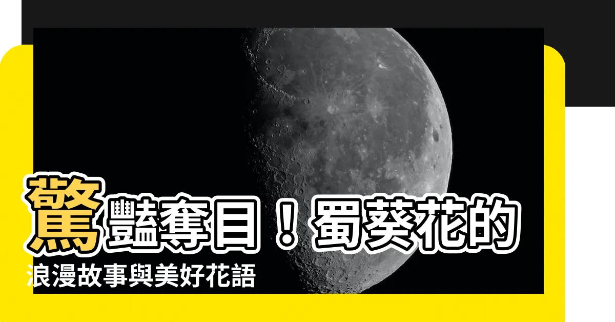 【蜀葵花語】驚豔奪目！蜀葵花的浪漫故事與美好花語