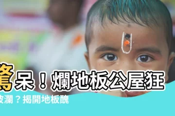 【公屋地板】驚呆！爛地板公屋狂掀波瀾？揭開地板醜聞