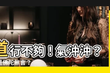 【道行不夠】道行不夠！氣沖沖？還是佛陀無言？