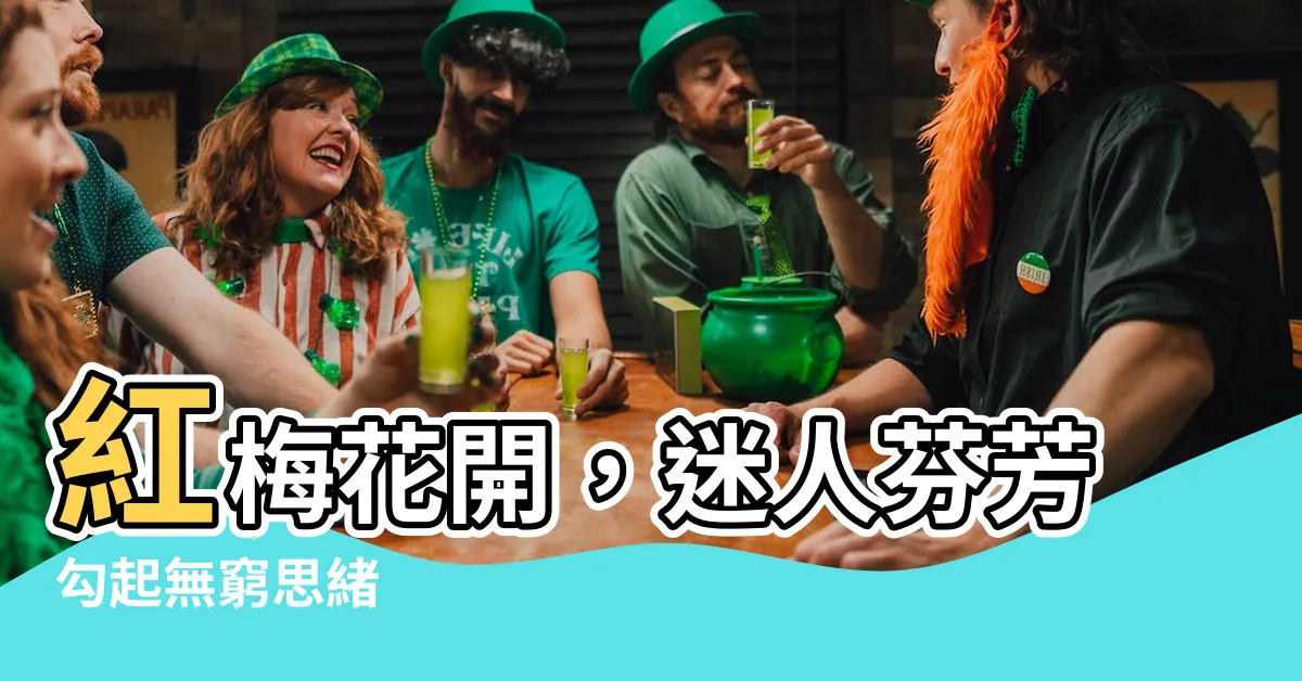 【紅梅花開】紅梅花開，迷人芬芳勾起無窮思緒