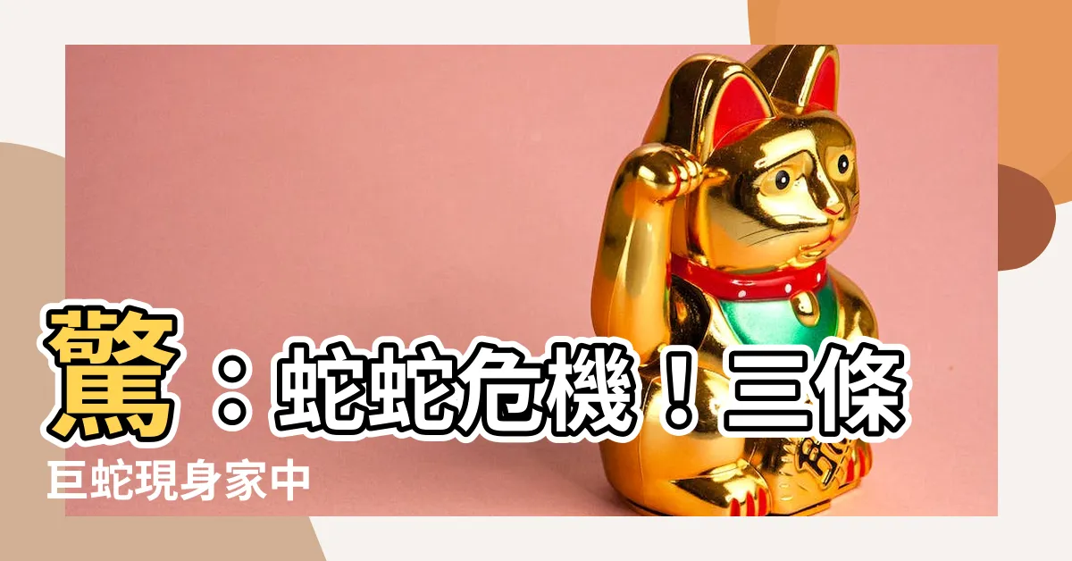 【蛇】驚：蛇蛇危機！三條巨蛇現身家中