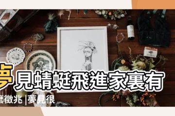 【夢見蜻蜓在房間裏飛】夢見蜻蜓飛進家裏有什麼徵兆 |夢見很多蜻蜓飛進家裡 |夢見一隻蜻蜓飛進家裡 |