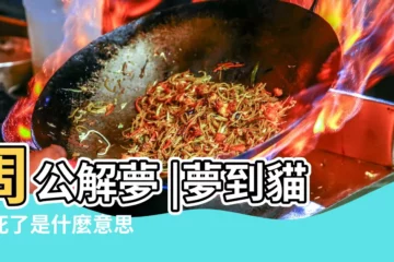 【夢到丟掉小貓小狗死了】周公解夢 |夢到貓狗死了是什麼意思 |夢到小狗小貓死了什麼寓意 |