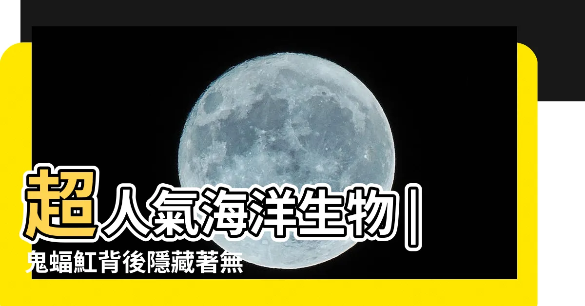 【魟魚象徵意義】超人氣海洋生物 |鬼蝠魟背後隱藏著無人知曉的象徵 |全世界最大的魟魚 |