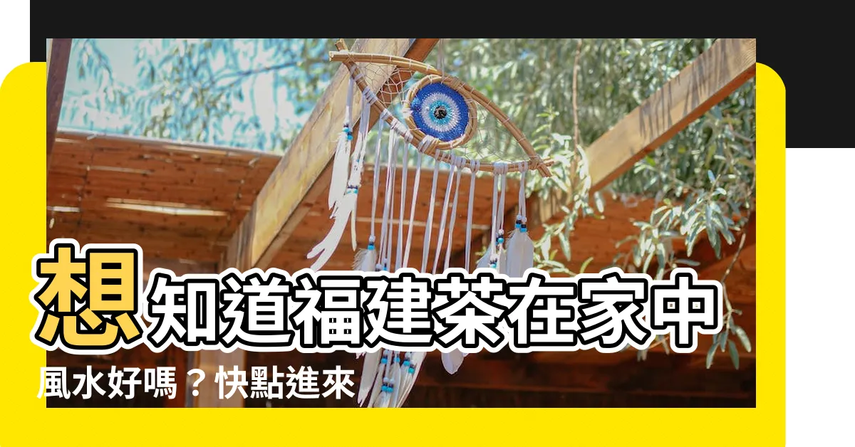 【福建茶風水】想知道福建茶在家中風水好嗎？快點進來瞭解