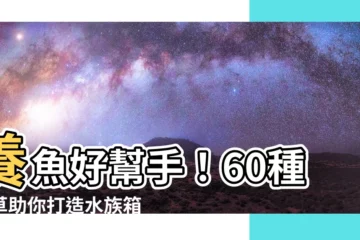 【養魚的水草】養魚好幫手！60種水草助你打造水族箱生態平衡