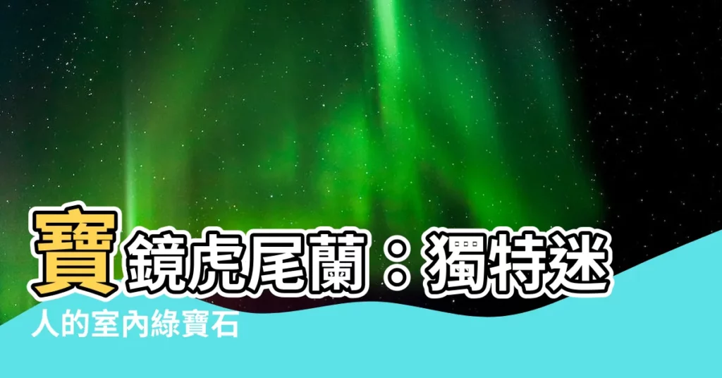 【寶鏡虎尾蘭】寶鏡虎尾蘭：獨特迷人的室內綠寶石