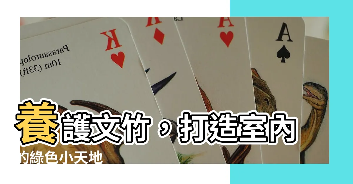 【文竹 照顧】養護文竹，打造室內的綠色小天地