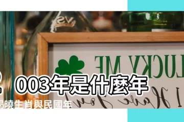【2003年是什麼年】2003年是什麼年？揭曉生肖與民國年次，認識你的生日密碼！