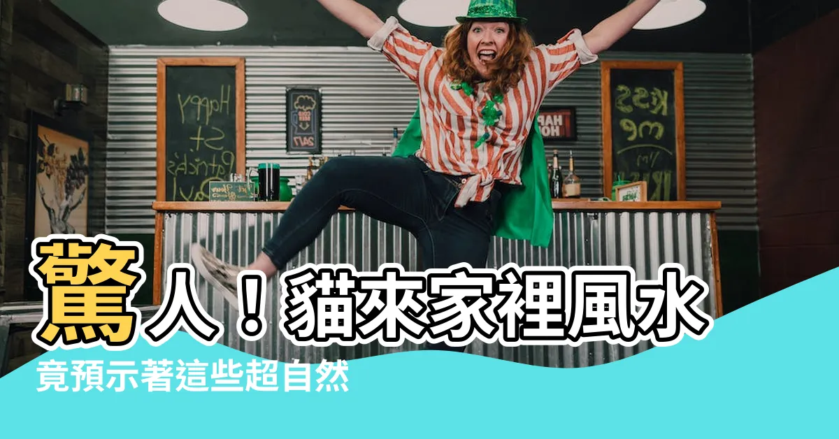 【貓來家裡風水】驚人！貓來家裡風水竟預示著這些超自然事件！