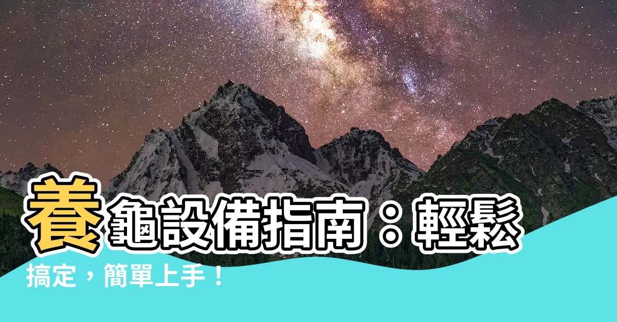 【養龜設備】養龜設備指南：輕鬆搞定，簡單上手！