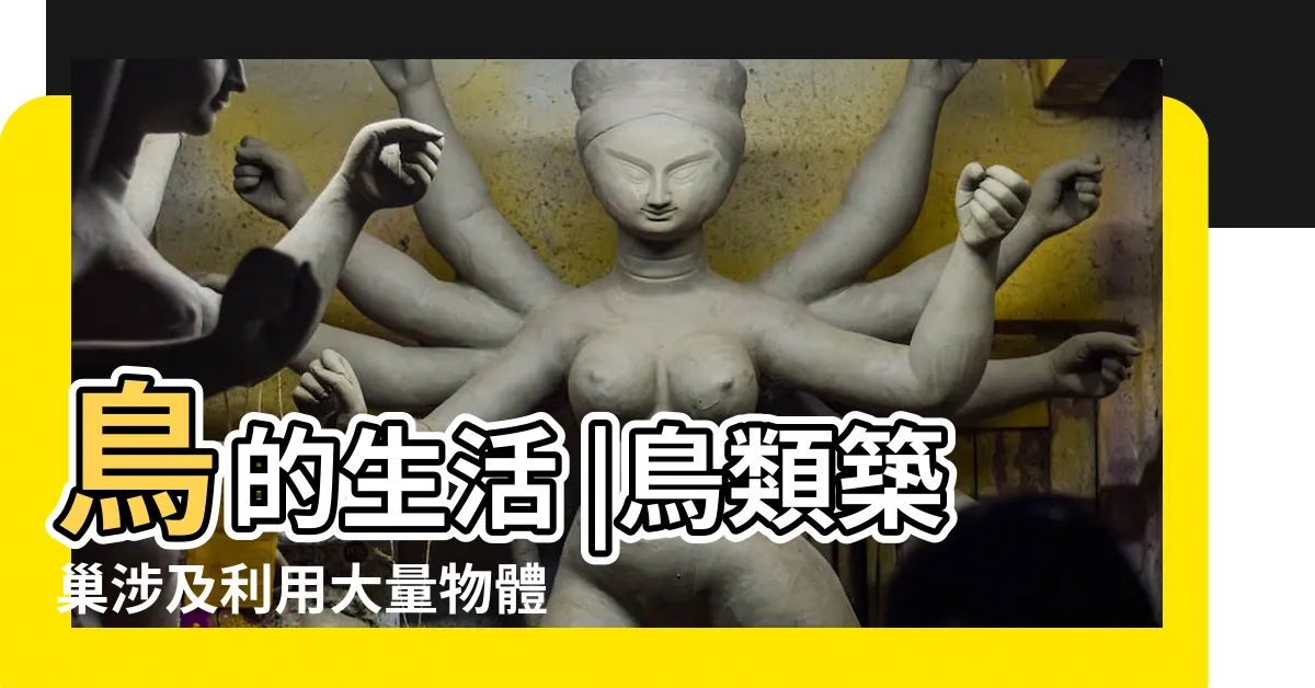 【會築巢的鳥】鳥的生活 |鳥類築巢涉及利用大量物體創造新的結構 |鳥巢有創意 |