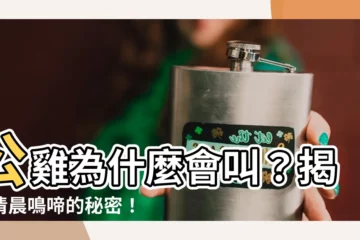 【公雞為什麼會叫】公雞為什麼會叫？揭開清晨鳴啼的秘密！