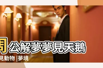 【夢見天鵝上我家門口】周公解夢夢見天鵝 |夢見動物 |夢境號碼解析結果 |