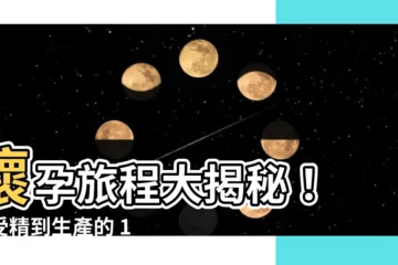 【懷孕過程】懷孕旅程大揭秘！ 從受精到生產的 10 月完整歷程