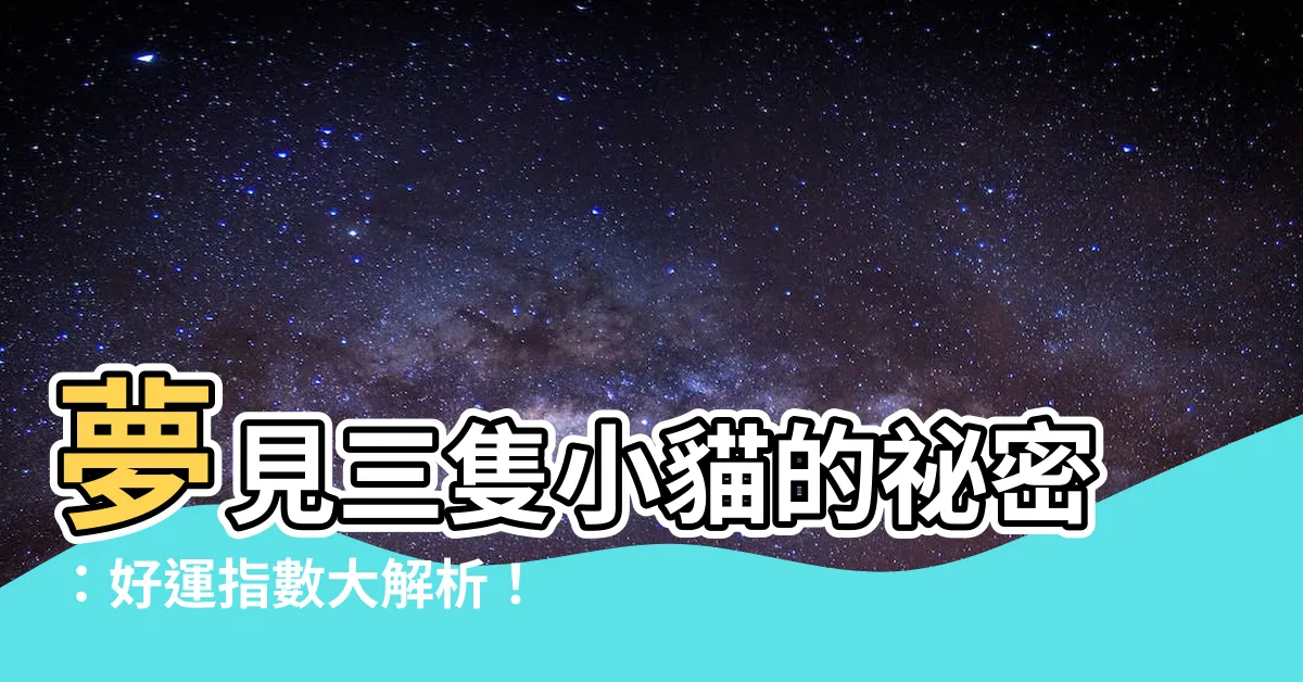 【夢見三隻小貓】夢見三隻小貓的秘密：好運指數大解析！