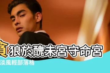 【武曲化忌貪狼文曲文昌在命宮】貪狼於醜未宮守命宮 |雲淡風輕部落格 |紫微命盤解析 |
