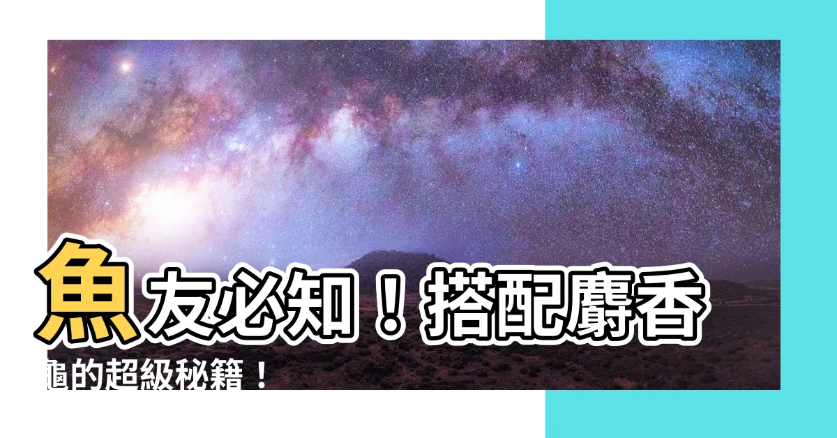 【麝香龜魚混養】魚友必知！搭配麝香龜的超級秘籍！