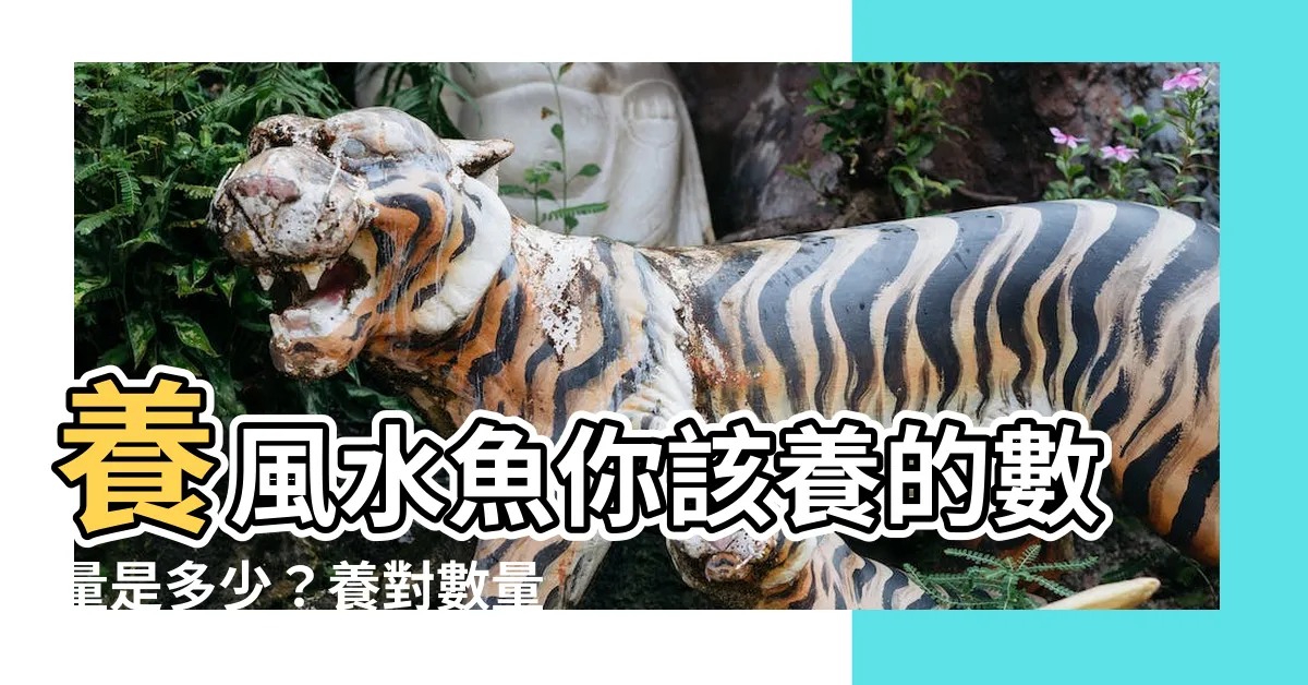 【風水魚養幾條好】養風水魚你該養的數量是多少？養對數量讓你一生財運滾滾來
