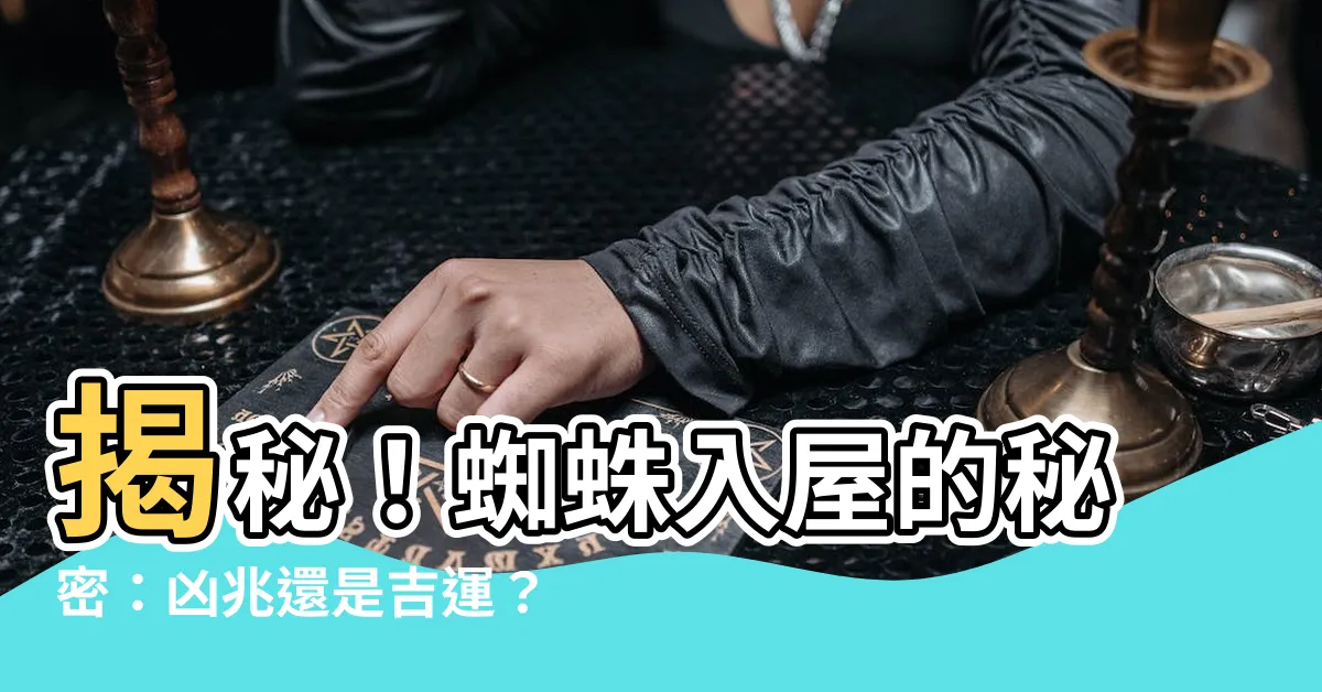 【蜘蛛入屋】揭秘！蜘蛛入屋的秘密：凶兆還是吉運？