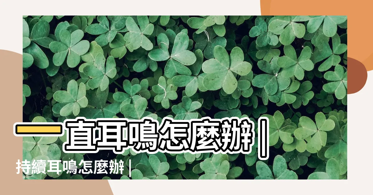 【長時間耳鳴】一直耳鳴怎麼辦 |持續耳鳴怎麼辦 |耳鳴原因有3種 |