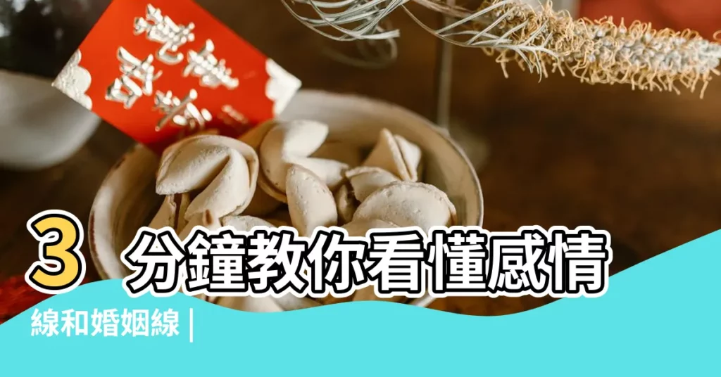 3分鐘教你看懂感情線和婚姻線 |【手紋 婚姻線 感情線】