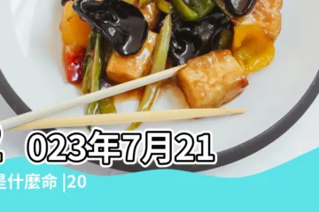 【7月21日生子時辰】2023年7月21日是什麼命 |2022年7月21日吉時查詢 |2023年7月21日吉時查詢 |