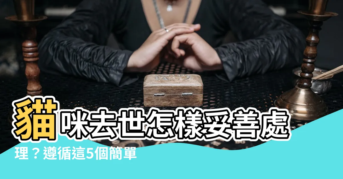 【貓咪去世怎麼處理】貓咪去世怎樣妥善處理？遵循這5個簡單步驟