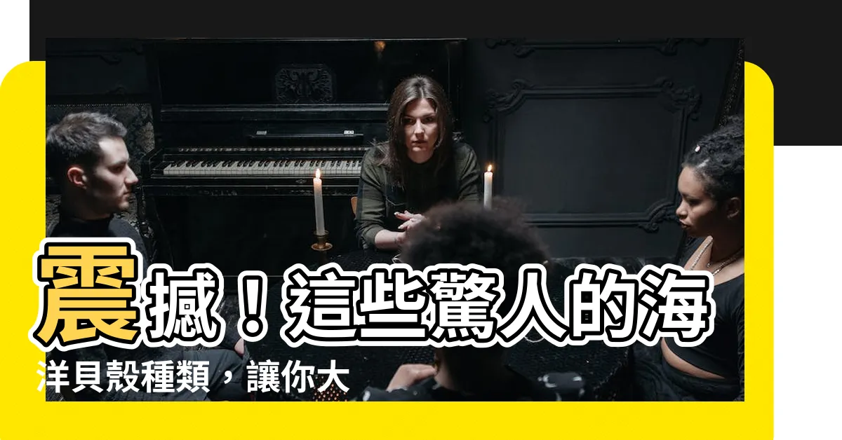 【貝殼的種類】震撼！這些驚人的海洋貝殼種類，讓你大開眼界！！