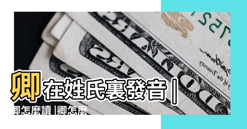 卿在姓氏裏發音 |卿怎麼讀 |卿怎麼讀 |【卿 是姓氏怎麼讀】