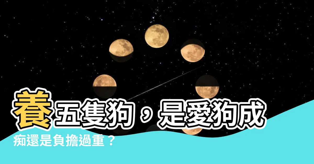 【養五隻狗】養五隻狗，是愛狗成痴還是負擔過重？