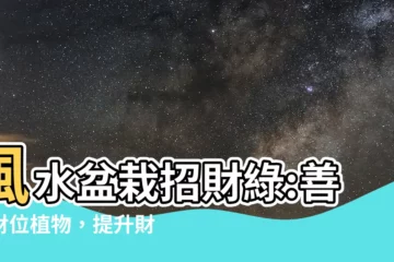 【財位 植物】風水盆栽招財綠:善用財位植物，提升財運