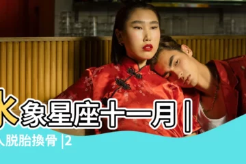 【2017年雙魚座十一月運勢】水象星座十一月 |讓人脱胎換骨 |2017年11月星座運勢 |