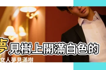 【夢到開白色花的樹】夢見樹上開滿白色的花 |女人夢見滿樹的白花 |夢見樹開白花 |